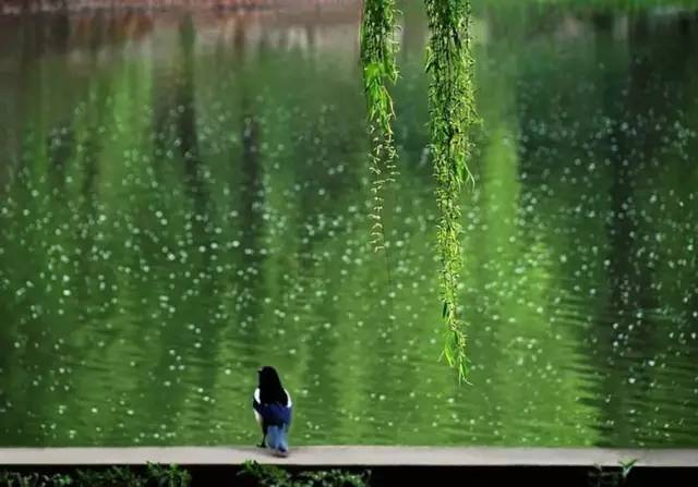 谷雨节气谈养生_谷雨节气的特点和风俗_谷雨节气的诗