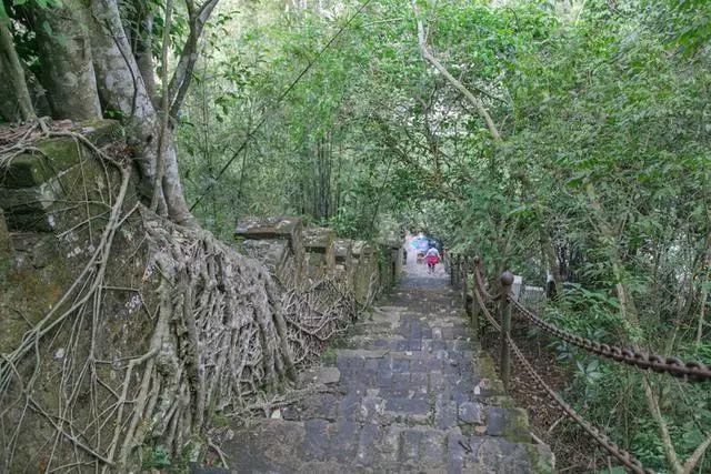 广西陆川风水论坛_广西水牛批发市场地地_广西风水宝地