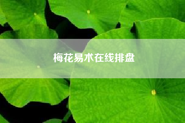 梅花易术在线排盘(命理风水解说：梅花易数解卦方法)