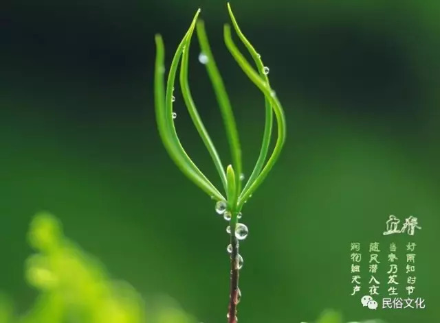 现代风水学_现代风水全集_风水罗盘应用经验学从入门新手到风水高手的必读书