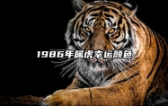 1986年属虎幸运颜色 1986年属虎的幸运颜色是什么