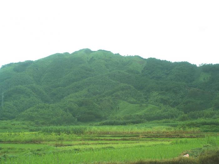 阴宅风水入门基础知识_看阴宅风水入门_阴宅风水学入门