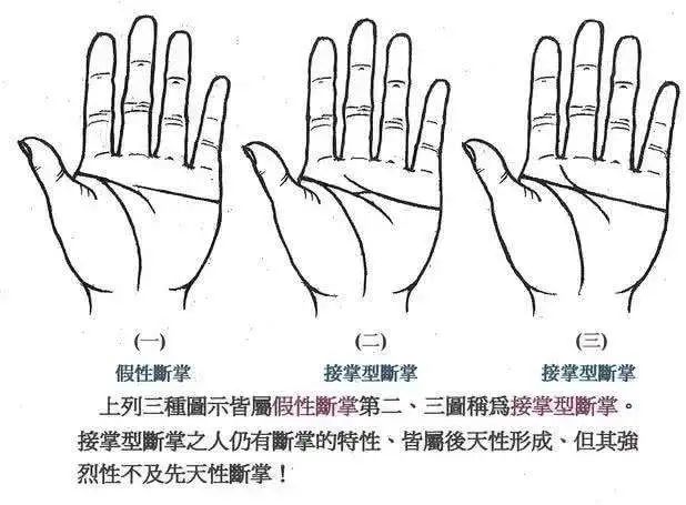 双手断掌纹_女人断掌纹_断手纹和断掌纹一样吗