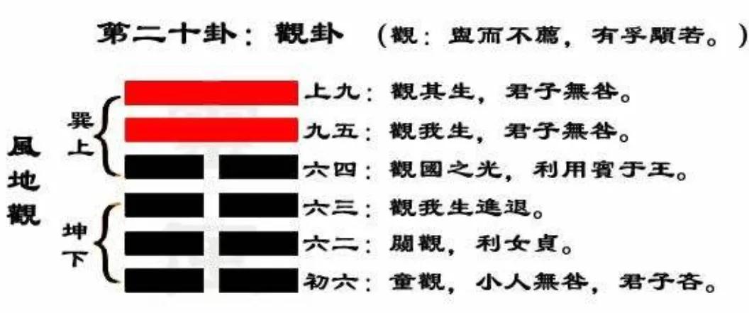 易经中的智慧「人间道」「二十一」风地观