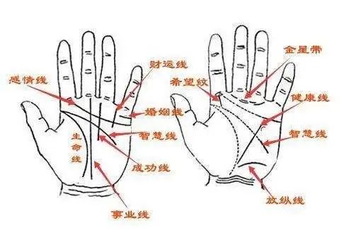 通天纹_不好的通天纹手相_通天纹详解图