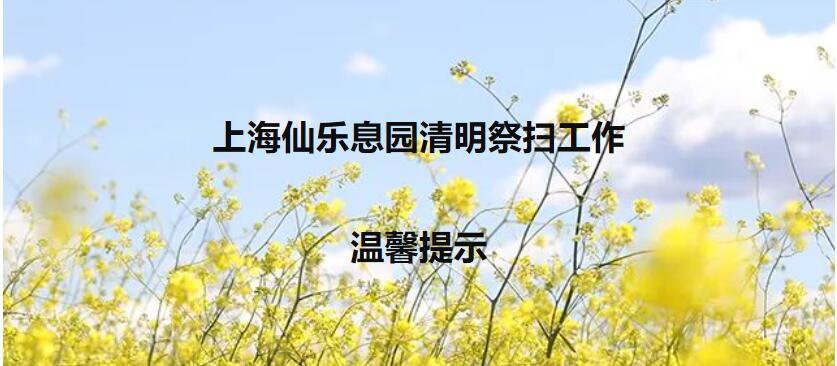 今年清明节扫墓是否能动土_今年清明节扫墓可以烧纸吗_今年清明节可以扫墓吗