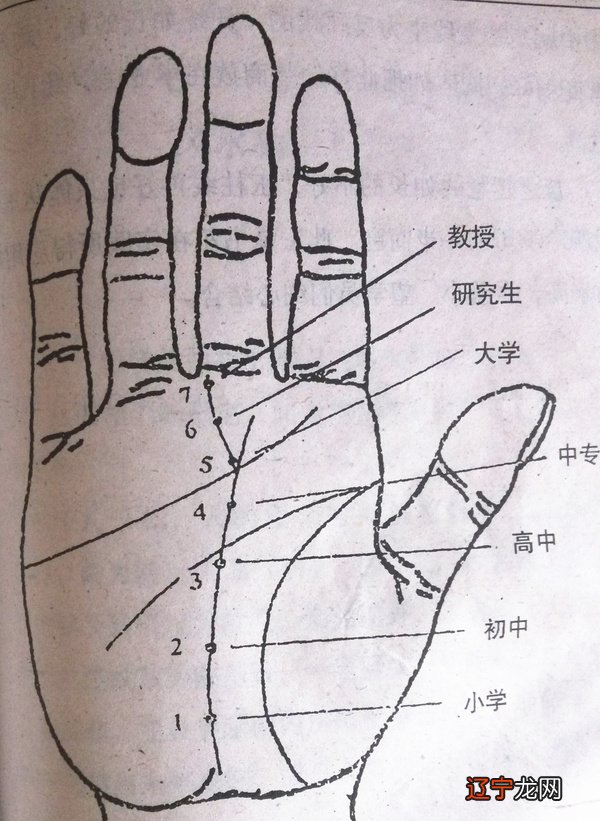 <strong>手相</strong>图解男女大全 <strong>手相</strong>算命解说