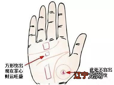 <strong>手相</strong>图解男女大全 <strong>手相</strong>算命解说
