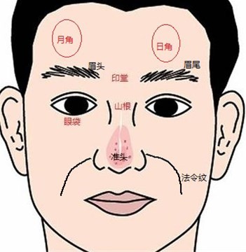 日月角_日月角隆起图片_日月角突出