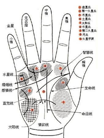 <strong>手相</strong>图解算命大全、<strong>手相</strong>看财运婚姻事业