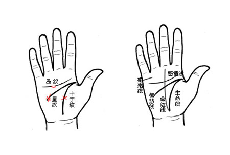 <strong>手相</strong>图解算命大全、<strong>手相</strong>看财运婚姻事业