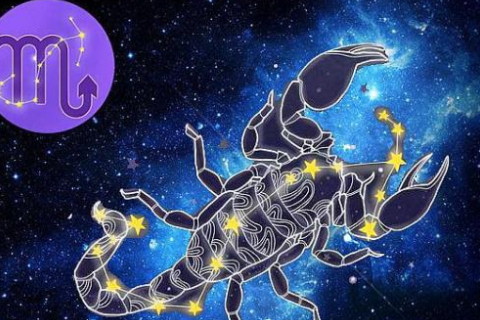 【十一月十九星座】十一月十九的上升星座_<strong>双鱼座</strong>的上升星座
