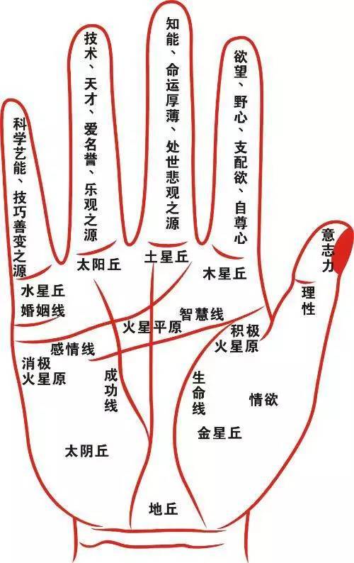 手上多条<strong>财运</strong>线和这七种手相的人总有偏<strong>财运</strong> 太神奇了！