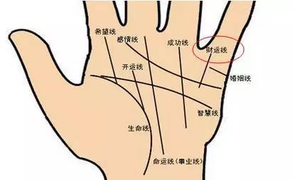 手上多条<strong>财运</strong>线和这七种手相的人总有偏<strong>财运</strong> 太神奇了！