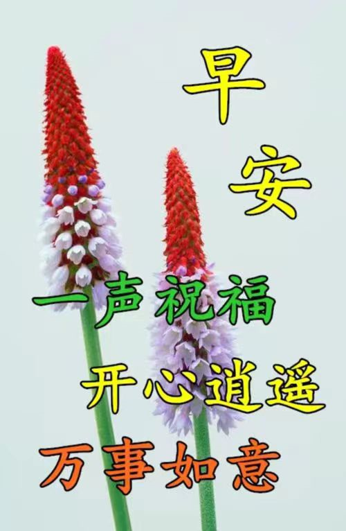 3月14日是不是警察节_1月6日是俄罗斯什么节_几月几日是父亲节