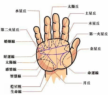 手相学大全书_手相相学_手相学大全