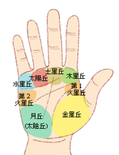 无量子：看<strong>手相</strong>准吗可信吗？为什么不能随便看<strong>手相</strong>？