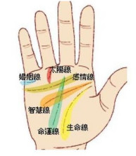 无量子：看<strong>手相</strong>准吗可信吗？为什么不能随便看<strong>手相</strong>？