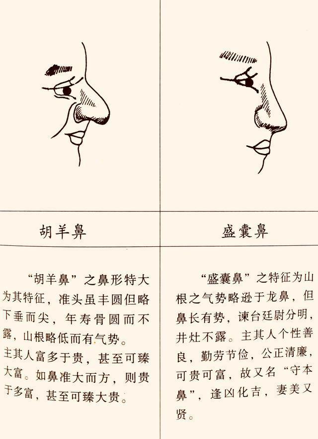 女人面相痣_面相女人嘴大预示着什么_面相女人旺夫相