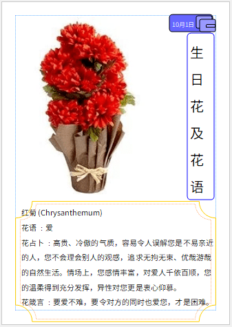 花语生日的花有哪些_生日花语_花语生日快乐祝福语