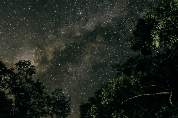 10月12日是什么星座 10月12日出生是什么星座