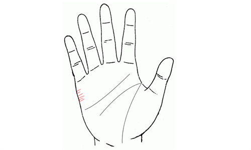 手掌纹路多且杂乱是为什么_手掌纹路图解男性_手掌纹路