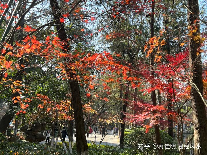 高官征兆祖坟出土_出高官祖坟征兆_高官征兆祖坟出殡